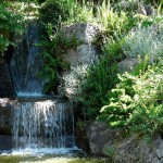 El encanto de los jardines japoneses