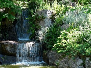 El encanto de los jardines japoneses